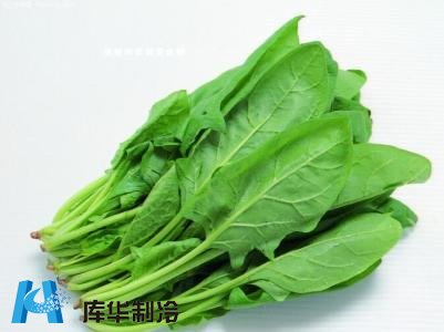 菠菜冷庫(kù)建造需要符合什么冷藏方法