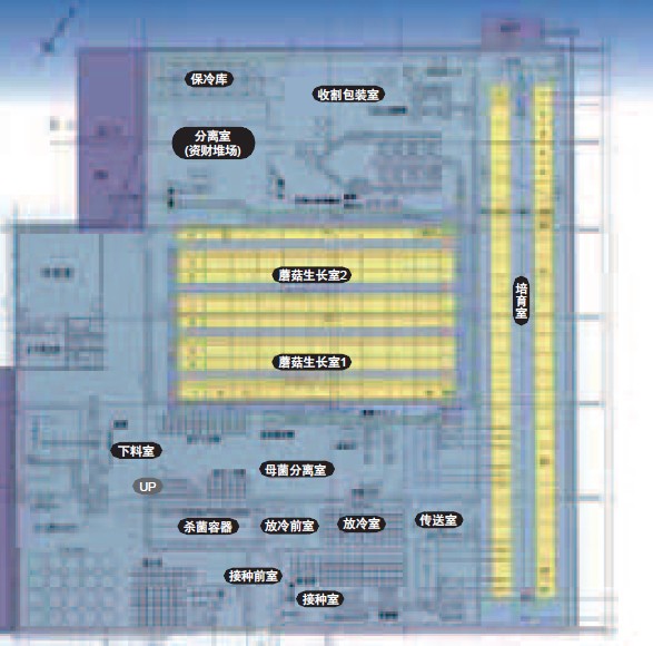 食用菌冷庫(kù)設(shè)計(jì)圖